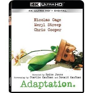 Adaptation